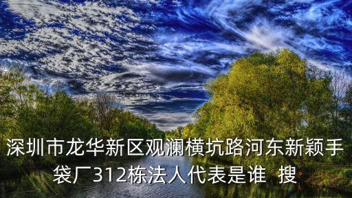 深圳市龍華新區觀瀾橫坑路河東新穎手袋廠312棟法人代表是誰  搜