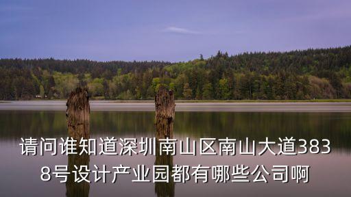 深圳和美盛世文化傳播公司，深圳寶安哪間影視公司有實力