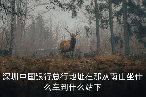 深圳中國銀行總行地址在那從南山坐什么車到什么站下