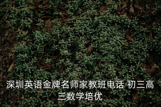 深圳英語金牌名師家教班電話 初三高三數學培優