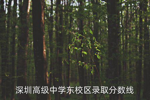 深圳高級(jí)中學(xué)是按分?jǐn)?shù)錄取嗎，深圳高級(jí)中學(xué)錄取分?jǐn)?shù)線