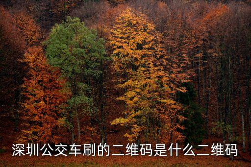 深圳公交車刷的二維碼是什么二維碼