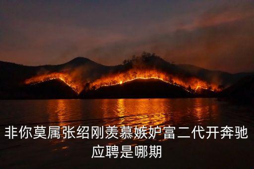 非你莫屬張紹剛羨慕嫉妒富二代開奔馳應聘是哪期