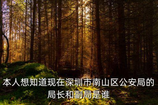 本人想知道現在深圳市南山區公安局的局長和副局是誰