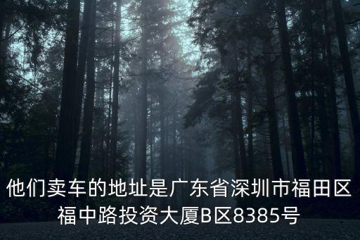 他們賣車的地址是廣東省深圳市福田區(qū)福中路投資大廈B區(qū)8385號