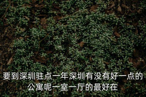 要到深圳駐點一年深圳有沒有好一點的公寓呢一室一廳的最好在