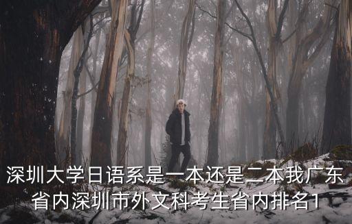 深圳大學日語系是一本還是二本我廣東省內深圳市外文科考生省內排名1