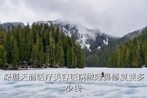 深圳天麗醫療美容醫院做隆鼻修復要多少錢