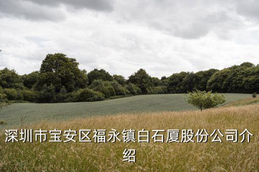 深圳市寶安區福永鎮白石廈股份公司介紹