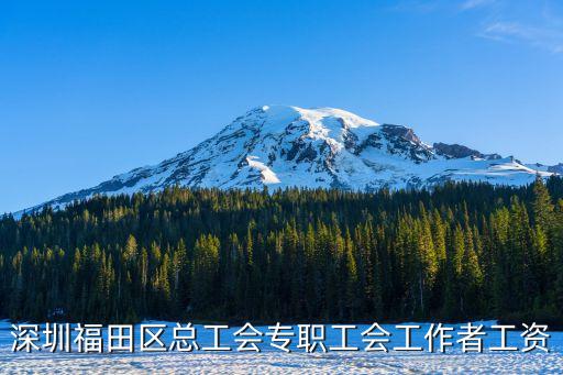 深圳福田區(qū)總工會專職工會工作者工資