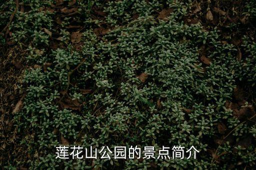 深圳蓮花山公廁運行，蓮花山公園的景點簡介
