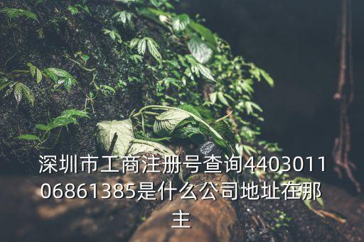 深圳市工商注冊號查詢440301106861385是什么公司地址在那主
