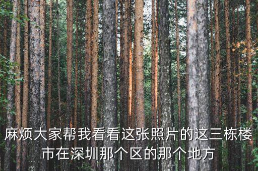 深圳華瑞紫金嘉苑，麻煩大家?guī)臀铱纯催@張照片的這三棟樓市在深圳那個區(qū)的那個地方