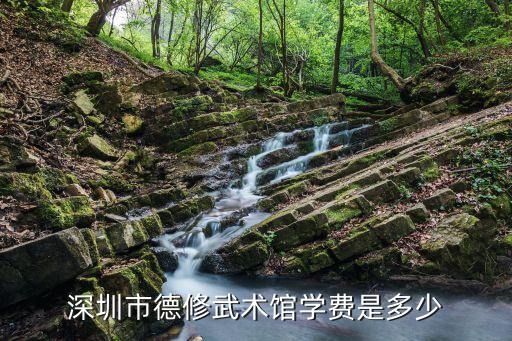 深圳散打課多少錢一節(jié)，散打陪練一小時多少錢那里有要陪練的