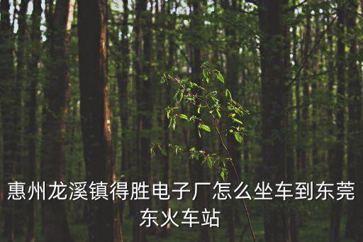 惠州龍溪鎮得勝電子廠怎么坐車到東莞東火車站