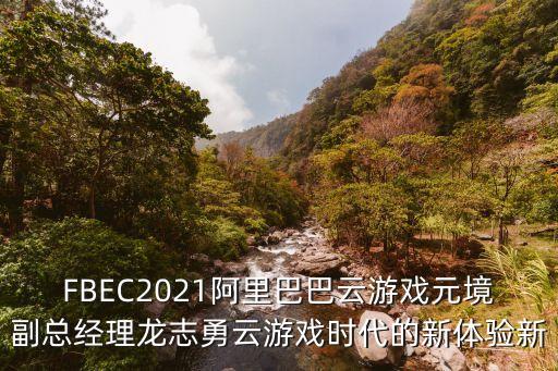 FBEC2021阿里巴巴云游戲元境副總經(jīng)理龍志勇云游戲時(shí)代的新體驗(yàn)新