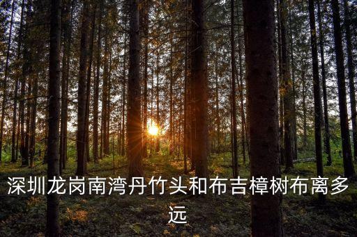 深圳龍崗南灣丹竹頭和布吉樟樹布離多遠