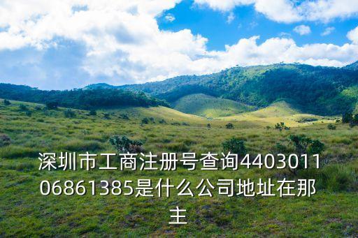 深圳市工商注冊(cè)號(hào)查詢440301106861385是什么公司地址在那主