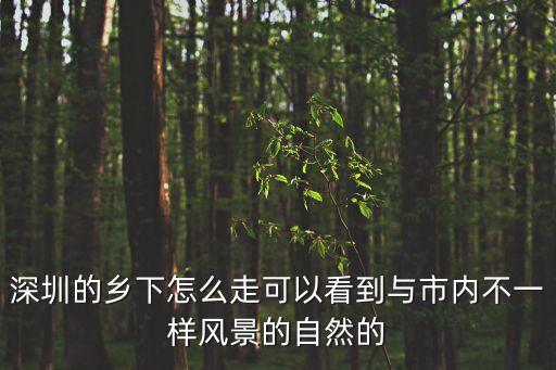 深圳農(nóng)村風(fēng)光圖片，深圳的風(fēng)景名勝