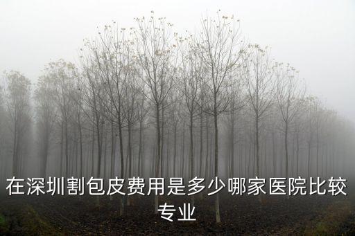 深圳包莖手術(shù)多少錢首選 靳其雄，深圳割包皮要多少錢