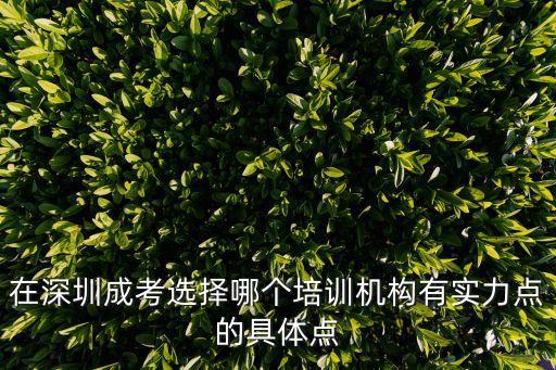 在深圳成考選擇哪個培訓(xùn)機(jī)構(gòu)有實力點的具體點