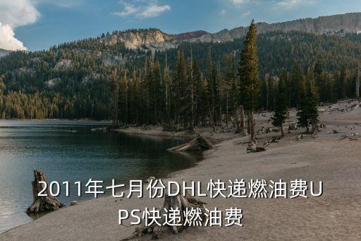 深圳龍華fedex燃油附加費，聯邦快遞12月份的燃油費是百分之多少
