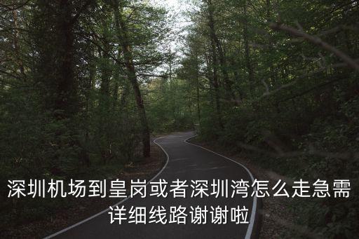 深圳機場到皇崗或者深圳灣怎么走急需詳細線路謝謝啦