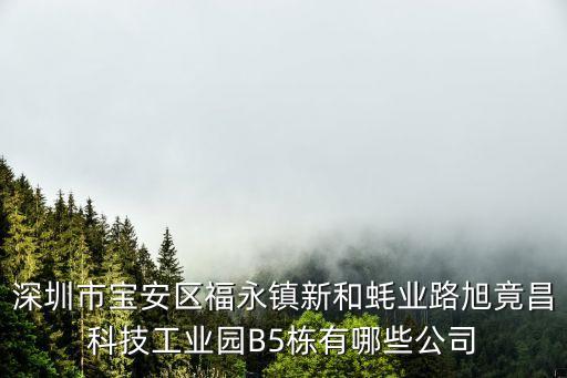 深圳市寶安區福永鎮新和蠔業路旭竟昌科技工業園B5棟有哪些公司