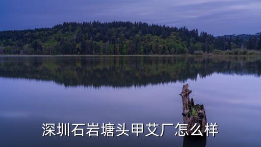 深圳石巖塘頭甲艾廠怎么樣