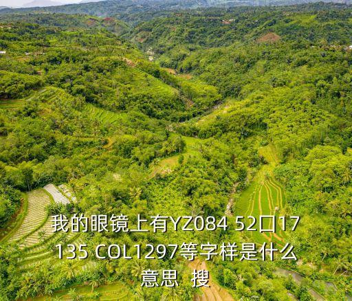 深圳市羅湖區(qū)華實(shí)幼兒園機(jī)構(gòu)代碼，我的眼鏡上有YZ084 52囗17135 COL1297等字樣是什么意思  搜