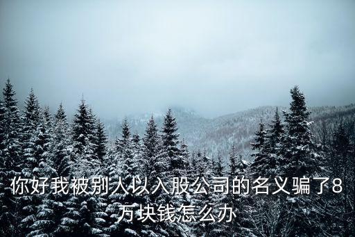 你好我被別人以入股公司的名義騙了8萬塊錢怎么辦