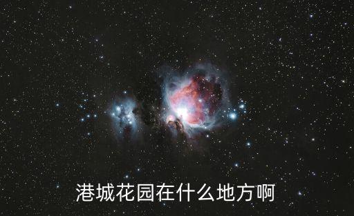 港城花園在什么地方啊