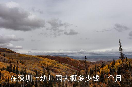 在深圳上幼兒園大概多少錢一個月