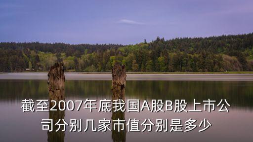 截至2007年底我國A股B股上市公司分別幾家市值分別是多少