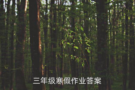 共同體寒假作業答案深圳三年級，三年級寒假作業答案