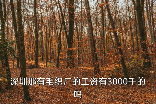 深圳至富毛織廠工資多少錢一個月，深圳那有毛織廠的工資有3000千的嗎