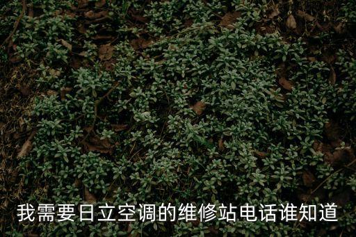 深圳日立空調(diào)服務(wù)4008073992，日立中央空調(diào)廠家電話