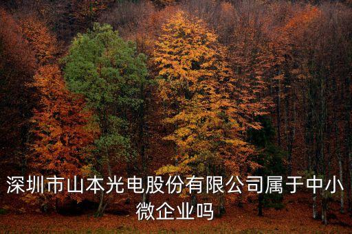深圳市山本光電股份有限公司屬于中小微企業嗎