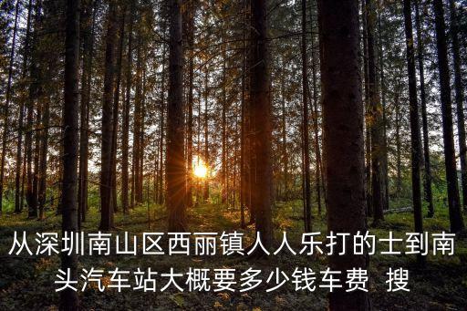 深圳到南頭開車需要多少錢，從深圳大學城打的到南頭多少錢