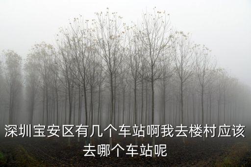 深圳寶安區(qū)有幾個(gè)車站啊我去樓村應(yīng)該去哪個(gè)車站呢