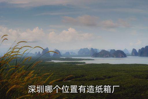 深圳哪個位置有造紙箱廠