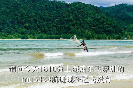 東航上航深圳始發航班，東方航空上海飛深圳在哪個航站樓