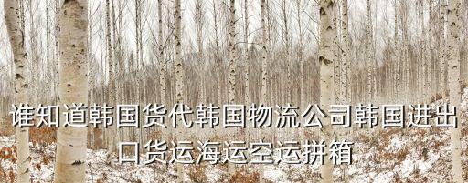 誰(shuí)知道韓國(guó)貨代韓國(guó)物流公司韓國(guó)進(jìn)出口貨運(yùn)海運(yùn)空運(yùn)拼箱