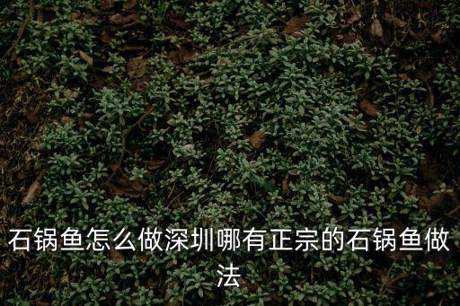 石鍋魚怎么做深圳哪有正宗的石鍋魚做法