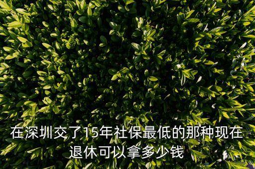在深圳交了15年社保最低的那種現(xiàn)在退休可以拿多少錢