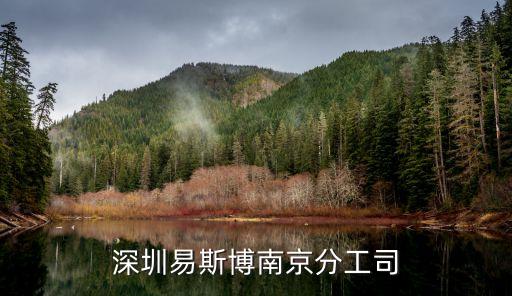 深圳易斯博南京分工司