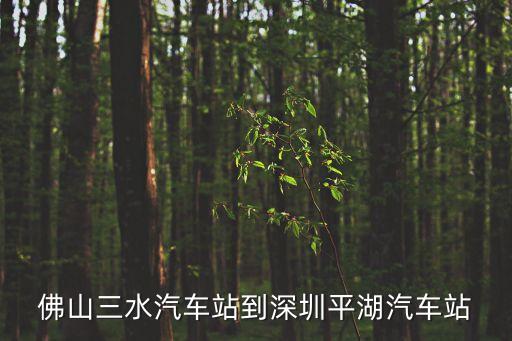 三水樂平離深圳平湖順平多少公里，三水市離深圳有多遠