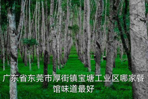 廣東省東莞市厚街鎮寶塘工業區哪家餐館味道最好