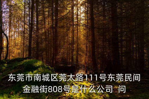 東莞市南城區(qū)莞太路111號東莞民間金融街808號是什么公司  問