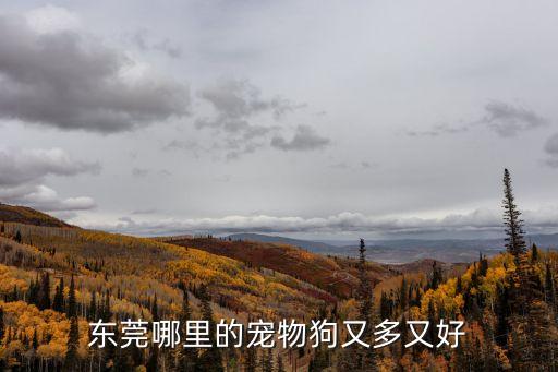 東莞哪里的寵物狗又多又好